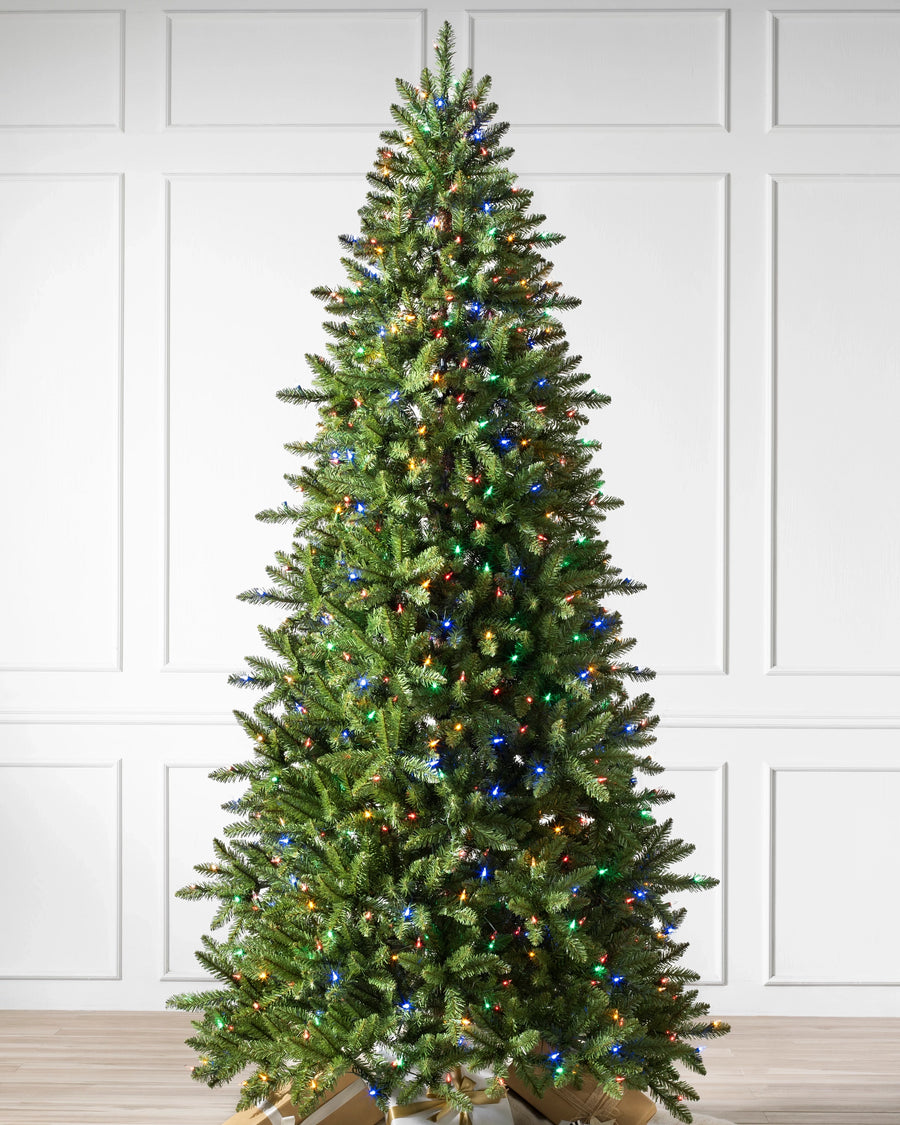 Árvore de Natal Abeto Montanha Berkshire