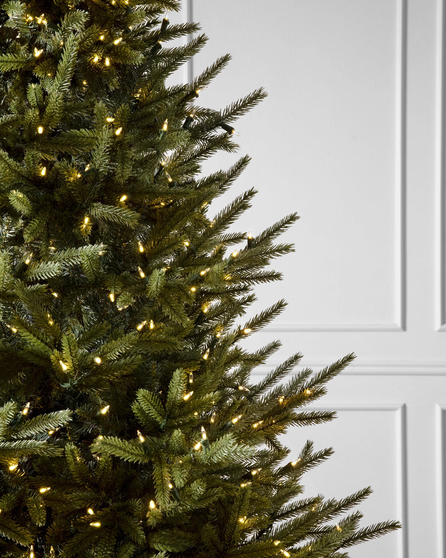 Árvore de Natal Pinheiro Norueguês do Norte